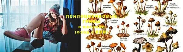 хмурый Покачи