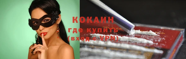 индика Армянск